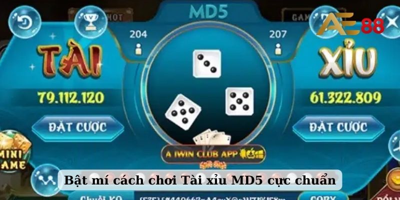 Bật mí cách chơi Tài Xỉu MD5 cực chuẩn