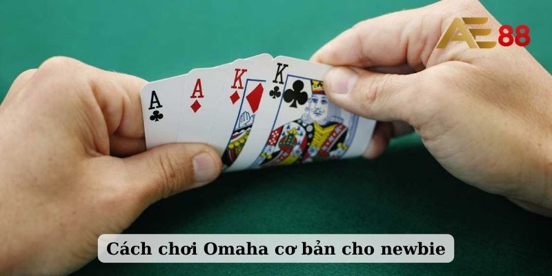 Cách chơi Omaha cơ bản cho newbie