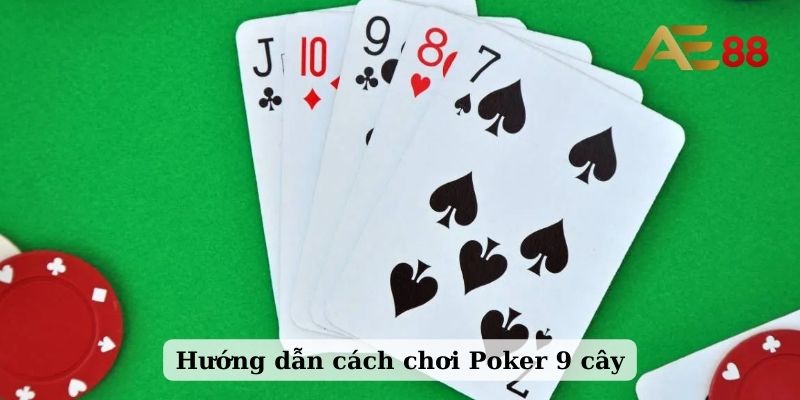 Hướng dẫn cách chơi Poker 9 cây