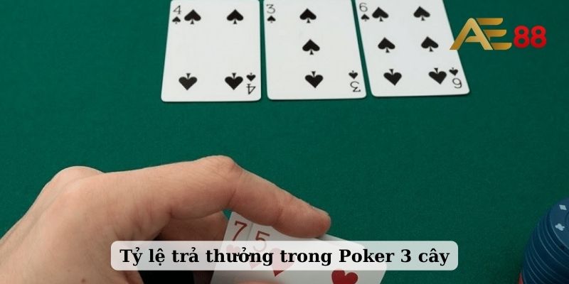 Tỷ lệ trả thưởng trong Poker 3 cây